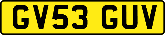 GV53GUV