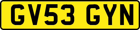 GV53GYN