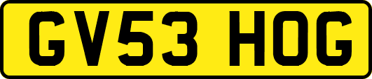 GV53HOG