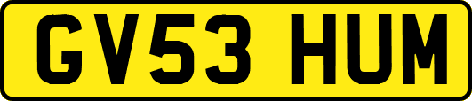 GV53HUM
