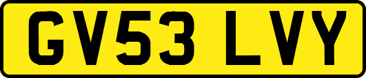 GV53LVY