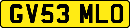 GV53MLO