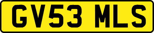 GV53MLS