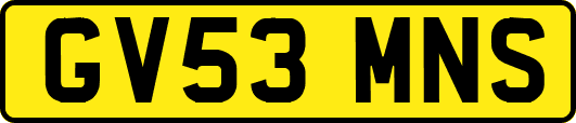GV53MNS