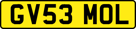GV53MOL
