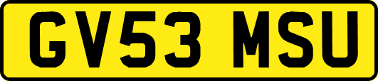 GV53MSU