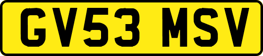 GV53MSV