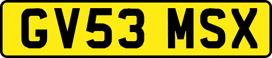 GV53MSX