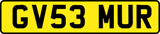 GV53MUR