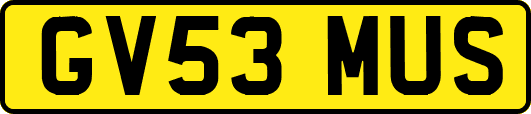 GV53MUS