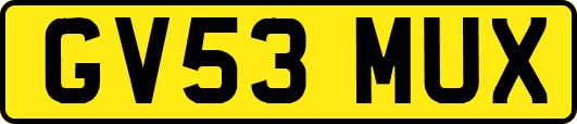 GV53MUX