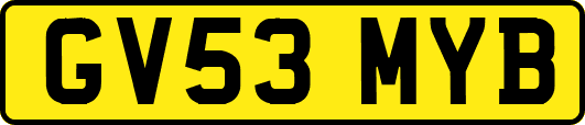 GV53MYB