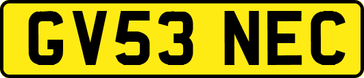 GV53NEC