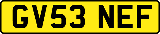 GV53NEF