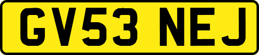GV53NEJ