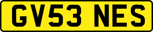 GV53NES