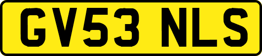GV53NLS