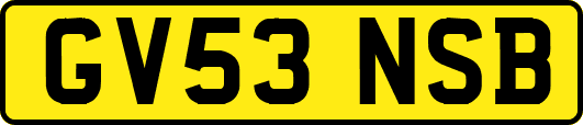 GV53NSB