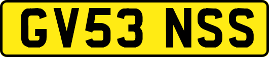 GV53NSS