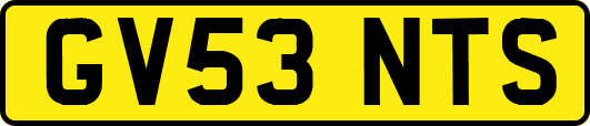 GV53NTS