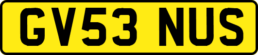 GV53NUS