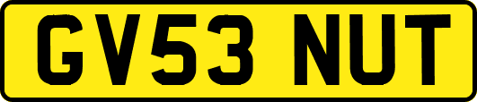 GV53NUT