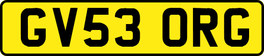 GV53ORG