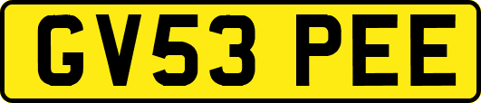 GV53PEE