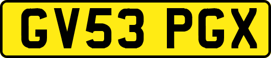 GV53PGX