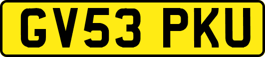 GV53PKU