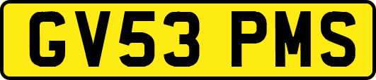 GV53PMS