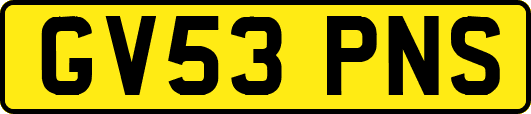 GV53PNS