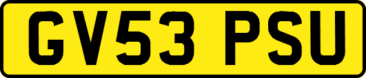 GV53PSU