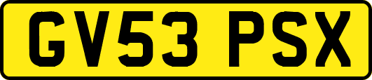 GV53PSX