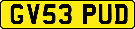 GV53PUD