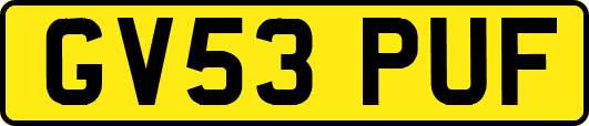 GV53PUF