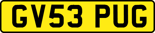 GV53PUG