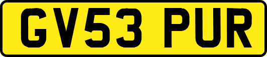 GV53PUR