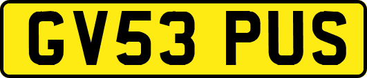 GV53PUS