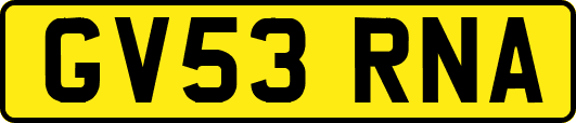 GV53RNA