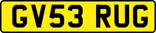 GV53RUG