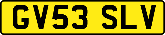 GV53SLV