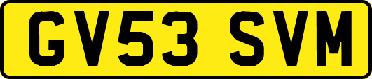GV53SVM