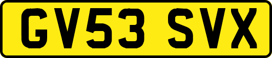GV53SVX