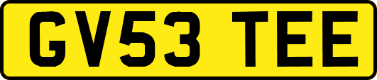 GV53TEE