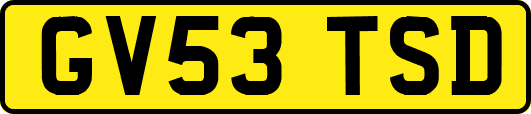 GV53TSD