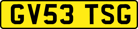 GV53TSG