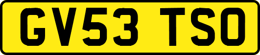GV53TSO
