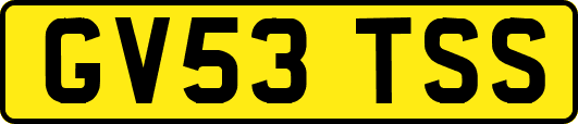 GV53TSS