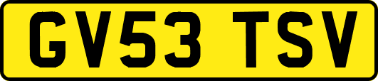 GV53TSV